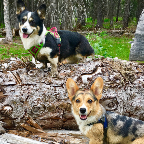 Meet your Posher, T - Picture 1 of 6